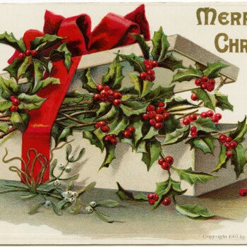 vintage christmas postcard, box of holly and berries, old fashioned christmas graphic, antique merry christmas card