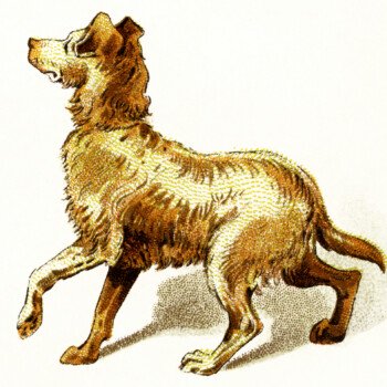 vintage dog clipart, golden brown dog image, brown pup clip art, dog walking illustration, printable puppy digital graphic