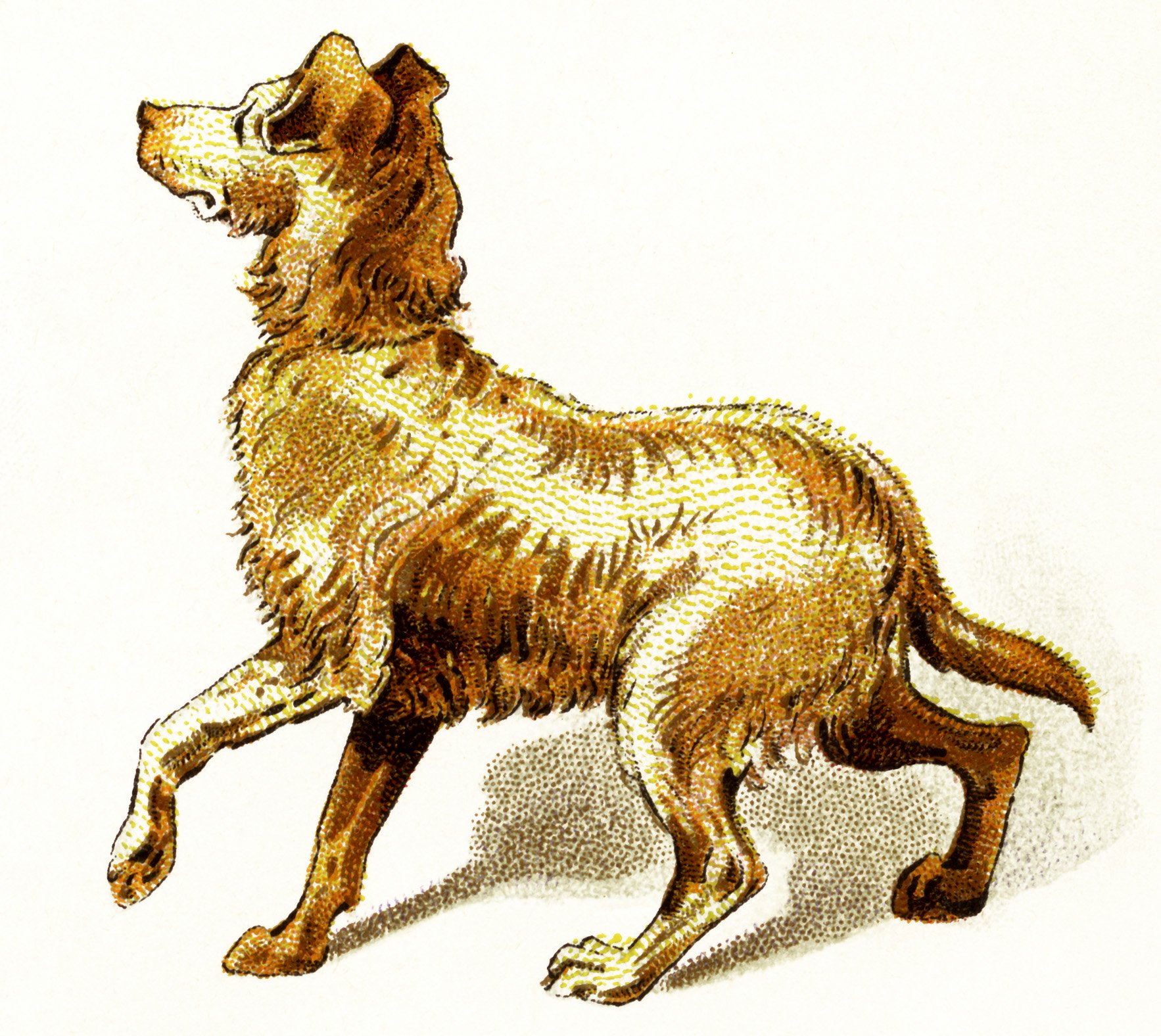 vintage dog clipart, golden brown dog image, brown pup clip art, dog walking illustration, printable puppy digital graphic