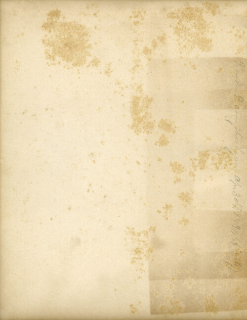 vintage endpaper graphic, grunge texture paper, old book page, shabby aged page
