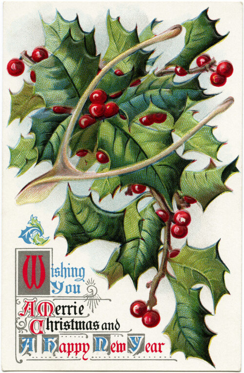 vintage christmas postcard, branch holly and berries, old fashioned wishbone postcard, merrie christmas greeting, antique holiday card image