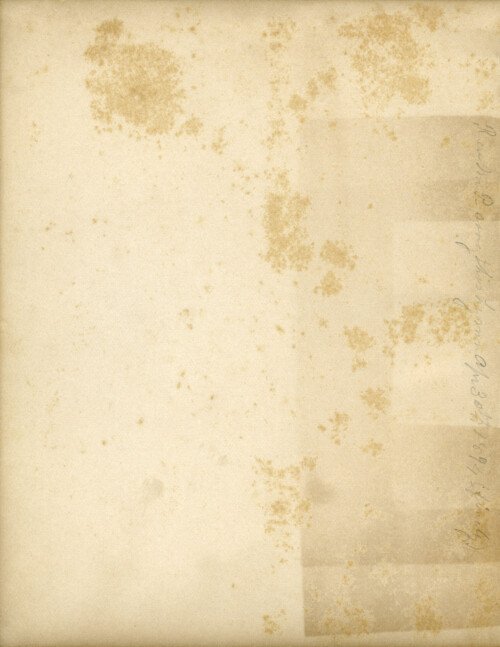 vintage endpaper graphic, grunge texture paper, old book page, shabby aged page