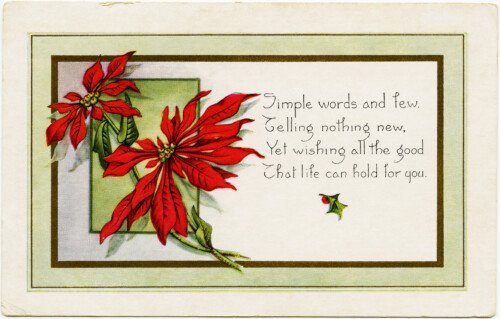 vintage christmas postcard, pointsettia clipart, old fashioned holiday printable, christmas flower card, digital whitney postcard