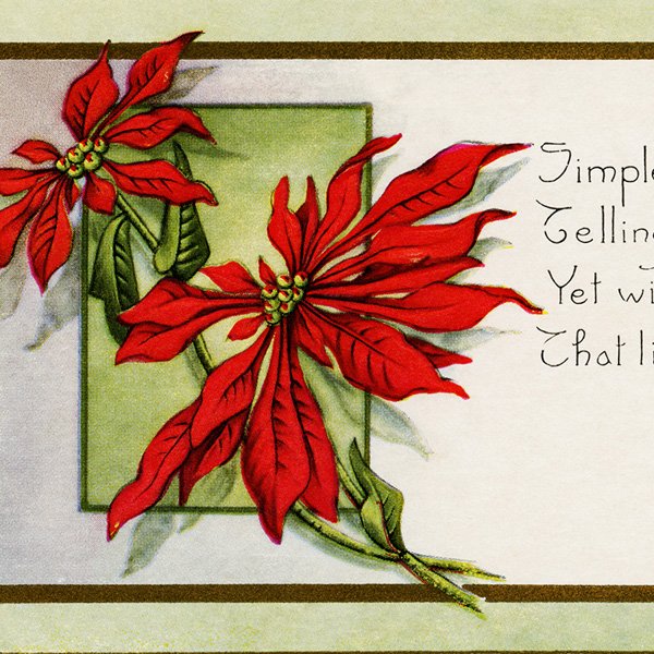 Free Vintage Clip Art Pointsettia Postcard