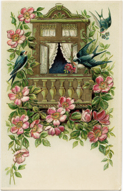 old postcard, digital vintage postcard, birds flowers image, vintage ephemera, free vintage printable
