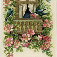 old postcard, digital vintage postcard, birds flowers image, vintage ephemera, free vintage printable