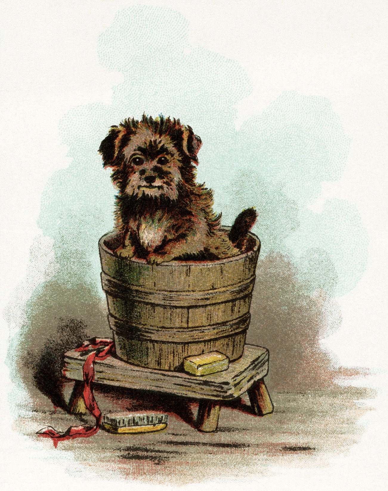 puppy bath, vintage puppy clipart, dog in tub, vintage dog image, old fashioned dog graphic