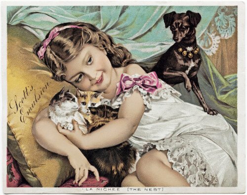 victorian trading card, the little pets, vintage advertising card, girl kittens dog, scott's emulsion, old fashioned medicine ad