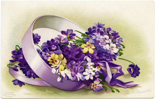 clapsaddle easter postcard, purple flowers in box, vintage easter clipart, signed ellen clapsaddle, printable easter card