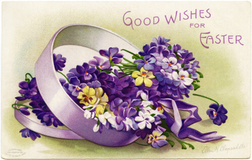 clapsaddle easter postcard, purple flowers in box, vintage easter clipart, signed ellen clapsaddle, printable easter card