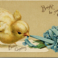 vintage easter postcard, chick pulling ribbon, yellow chick blue bouquet, free easter printable, old fashioned easter card
