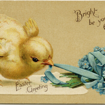 Vintage Shabby Chicken Mother Hen Digital Download Printable Ephemera 