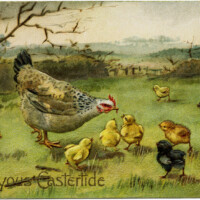 vintage easter postcard, old fashioned easter card, hen feeding chicks, printable chicken clipart, public domain digital image