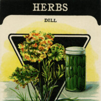 free vintage clip art garden seed packet herbs dill card seed co