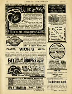old book page, vintage garden printable, vintage magazine advert, aged paper graphic, antique seed catalog ad