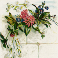 Free vintage clip art image cluster of flowers on white brick wall