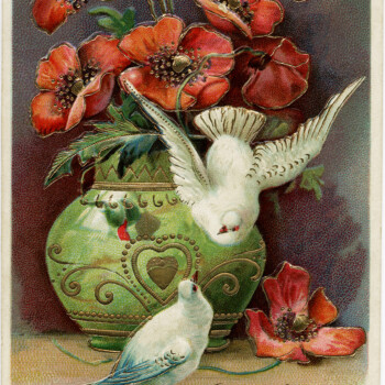 vintage postcard best wishes, poppies and birds clip art, printable postcard graphic, old postcard art, flowers doves vintage image