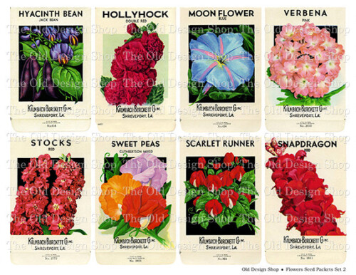homes and antiques, magazine feature, vintage seed packet, old design shop