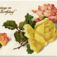 stecher postcard, catherine klein roses, antique birthday postcard, vintage birthday graphic, vintage flower clipart, old roses image