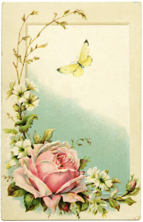 free vintage postcard, pink rose clipart, old postcard with flowers, butterfly clip art, printable antique postcard
