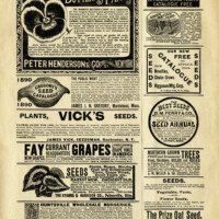 old book page, vintage garden printable, vintage magazine advert, aged paper graphic, antique seed catalog ad