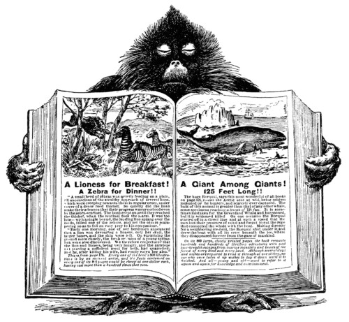 baboon holding book, unique vintage clipart, black and white graphics, open book blank pages