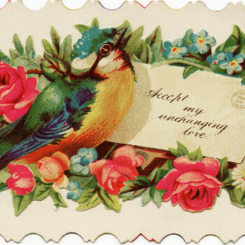 free vintage clip art Victorian calling card bird rose envelope