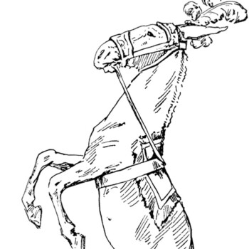 free vintage clip art circus horse illustration