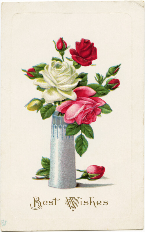 vintage postcard roses, printable rose card, roses in vase image, old postcard flowers, red pink rose clipart, vintage ephemera free