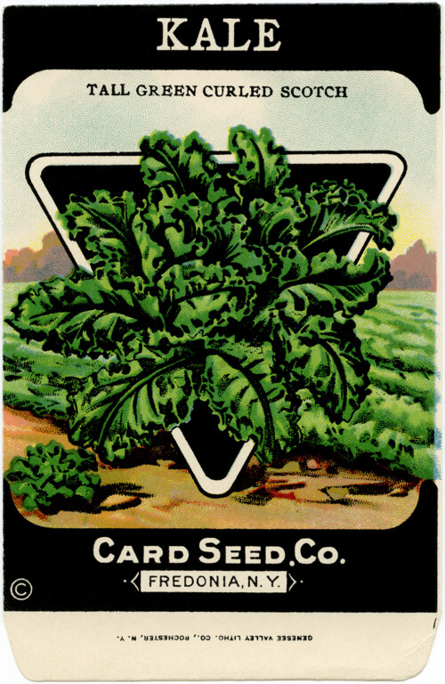 card seed co, vintage garden clip art, old fashioned seed package, vintage seed packet, kale garden seed pack graphics