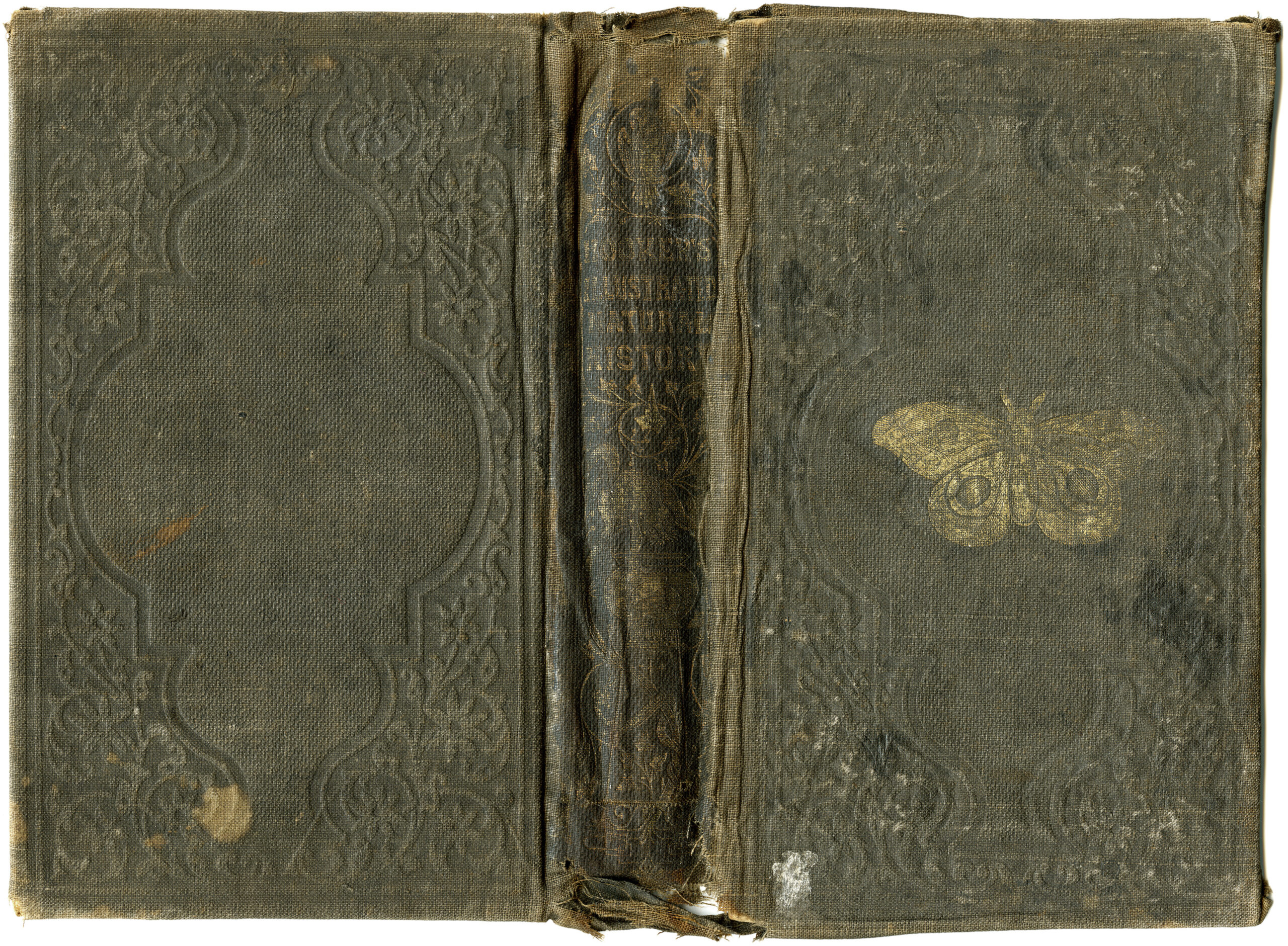 antique book cover, vintage texture, shabby ephemera printable, digital texture image, grunge graphics free