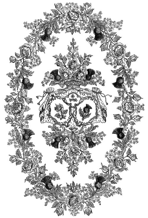 black and white clipart, ornamental floral illustration, ornate swirl design, vintage frame engraving, point embroidery pattern, vintage embroidery design