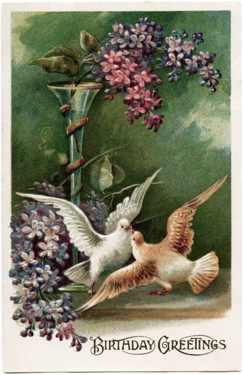 digital download image, free vintage ephemera, old fashioned postcard download, purple flowers doves clipart, vintage postcard birds, antique birthday postcard