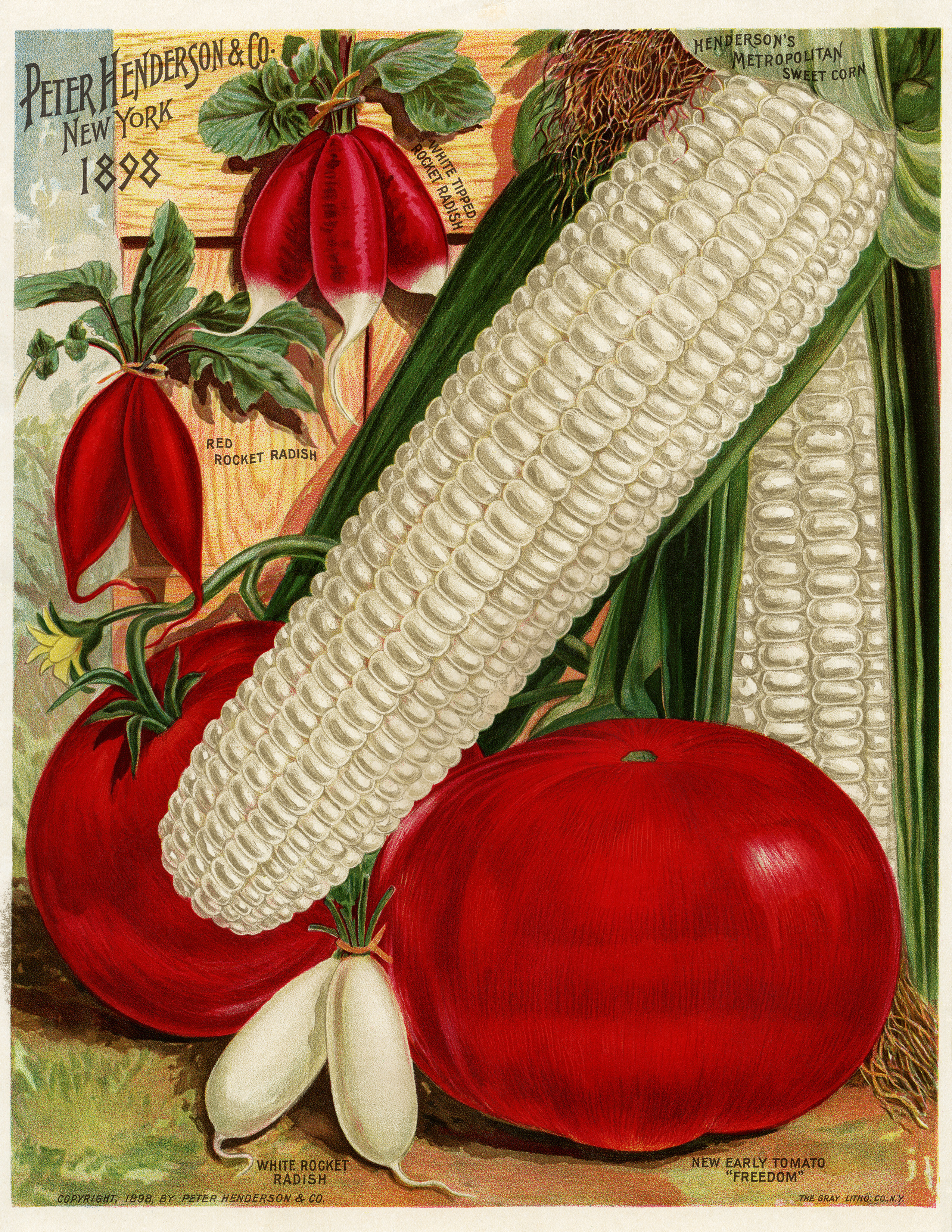 vintage garden illustration, vegetable garden printable, corn tomato radish image, Henderson’s garden catalog, vintage food graphics
