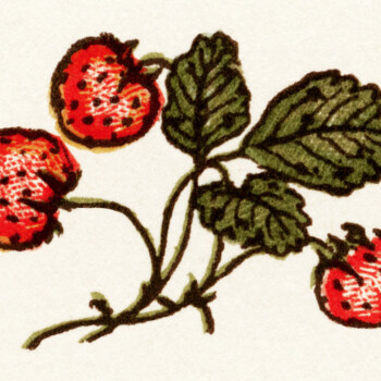 Kate Greenaway, vintage strawberry clip art, strawberries image, storybook illustration, vintage garden clipart