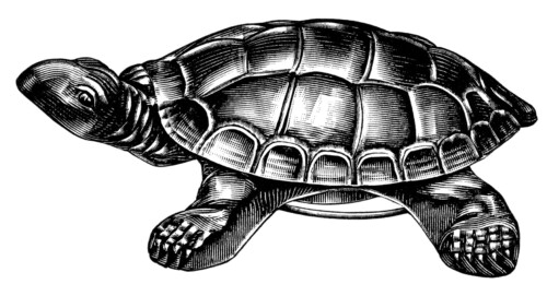 turtle cuspadore image, vintage catalog ad, black and white graphics free, vintage turtle clip art