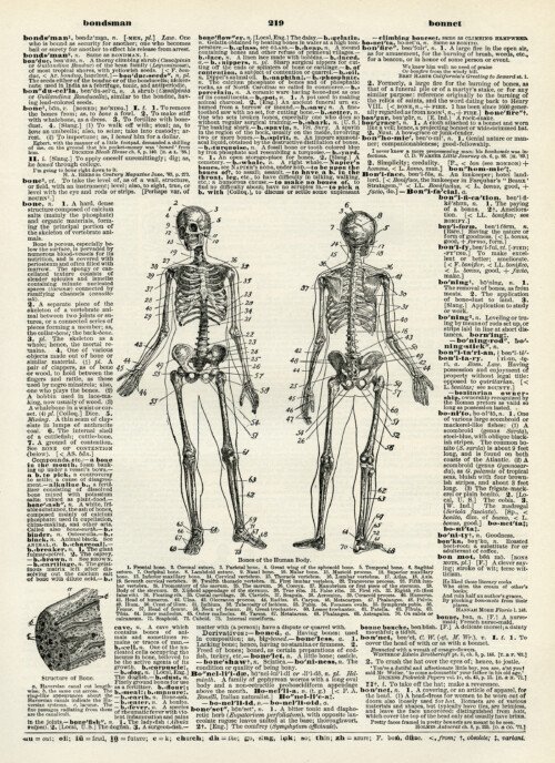 human bones diagram, skeleton clip art, black and white clipart, vintage dictionary page, halloween printable