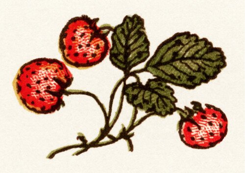 Kate Greenaway, vintage strawberry clip art, strawberries image, storybook illustration, vintage garden clipart