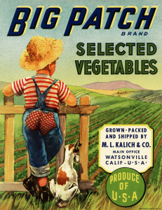 vintage crate label, big patch vegetables, boy and dog illustration, old fashioned garden image, vegetable garden printable
