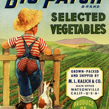 vintage crate label, big patch vegetables, boy and dog illustration, old fashioned garden image, vegetable garden printable