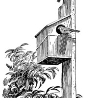 vintage bird clip art, black and white clipart, birdhouse illustration, free vintage bird graphics