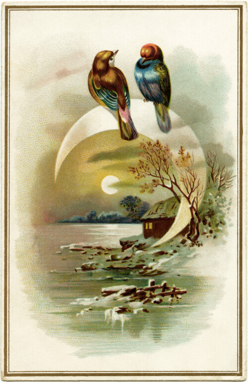 Victorian card, vintage bird clip art, winter evening scene, birds on moon illustration, old fashioned card