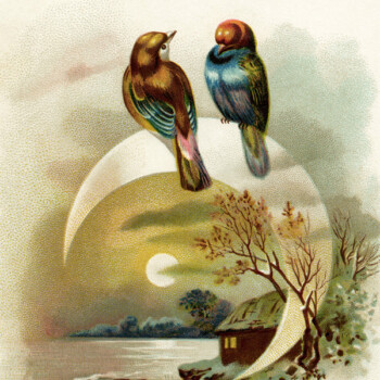 Free vintage clip art image birds on moon winter scene background