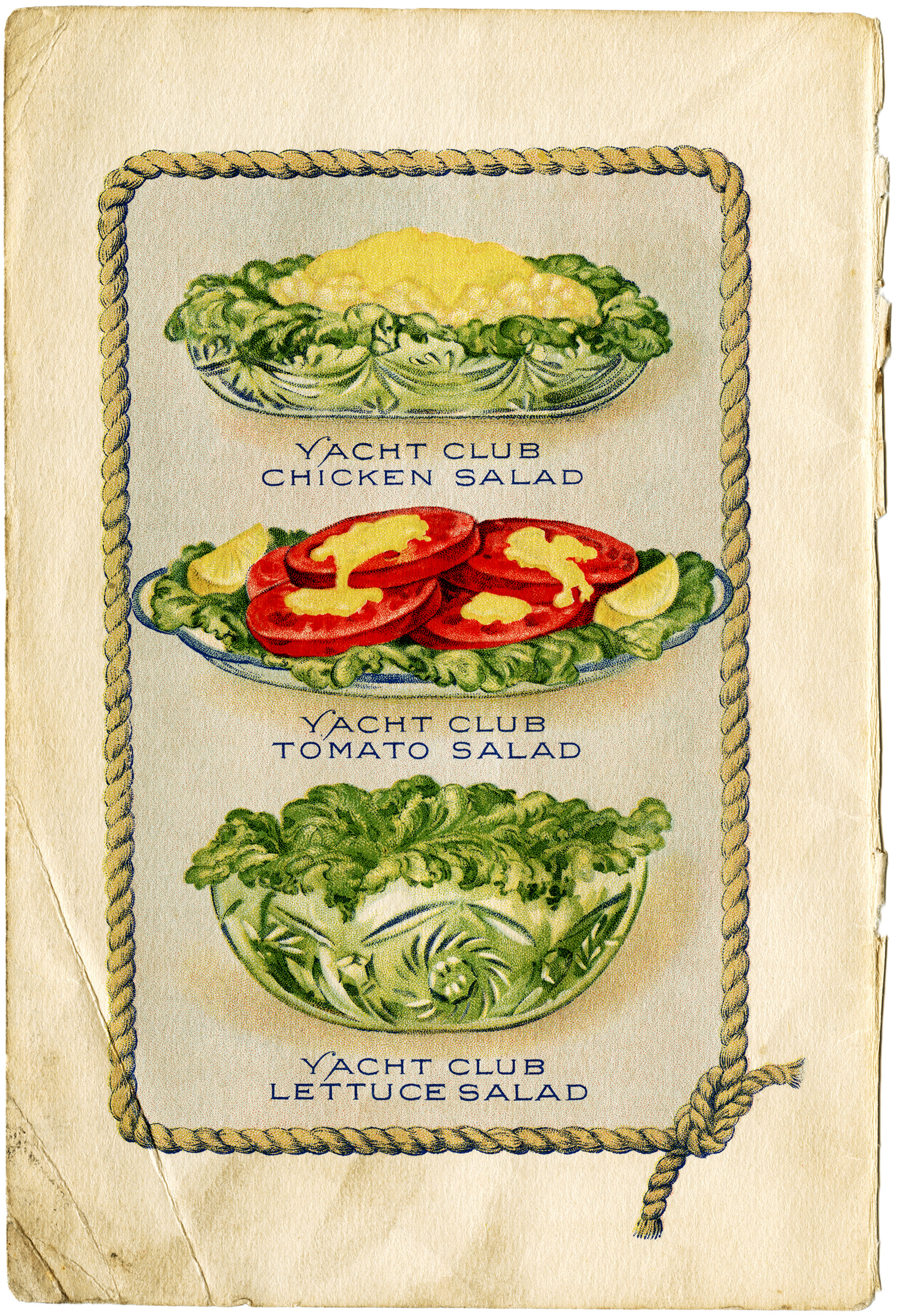 Yacht Club food, vintage salad clip art, old fashioned salad illustration, vintage cookbook page, free digital food graphics