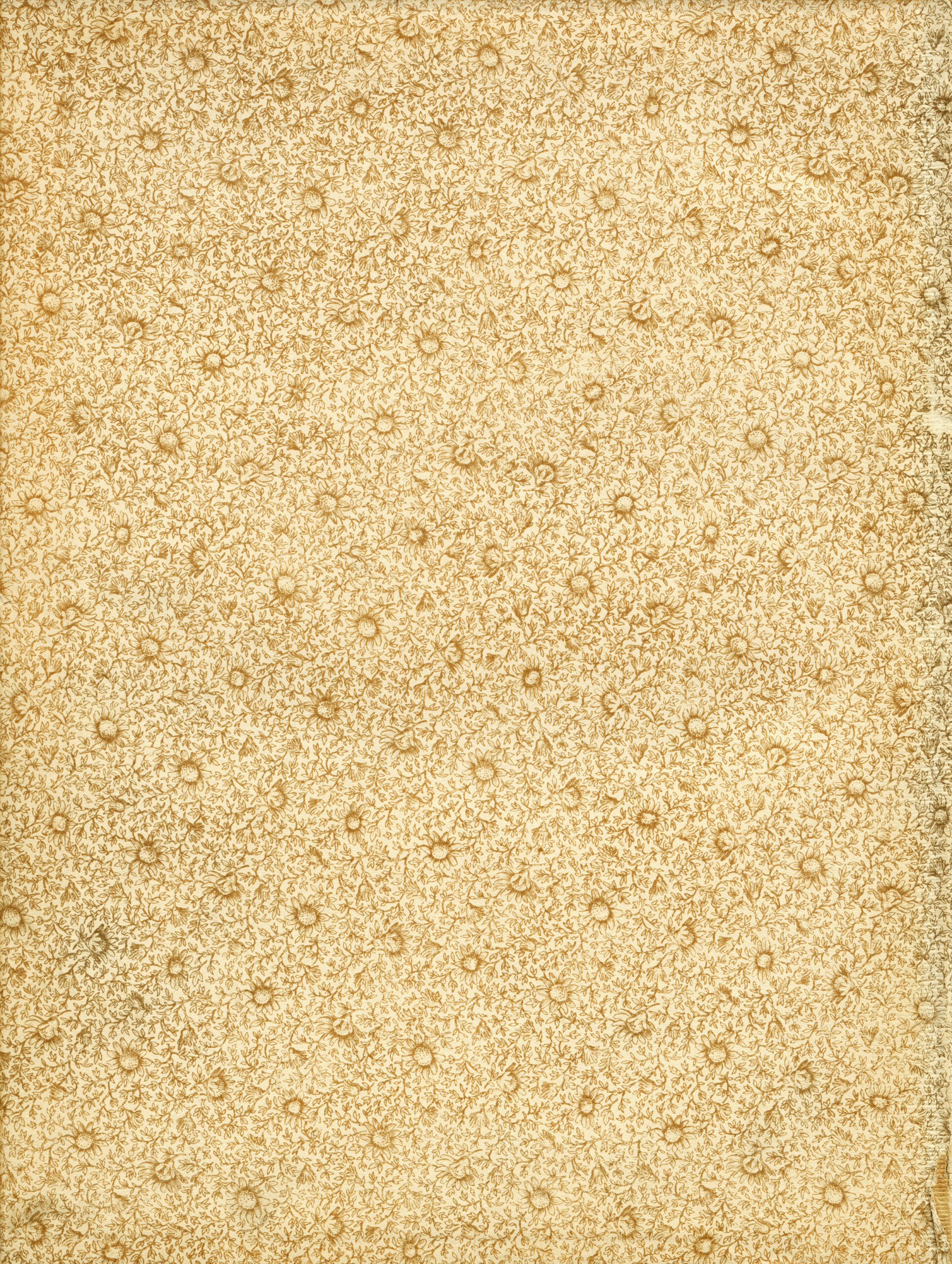 vintage floral paper, shabby aged page, old book page, endpaper graphics, grunge flower background