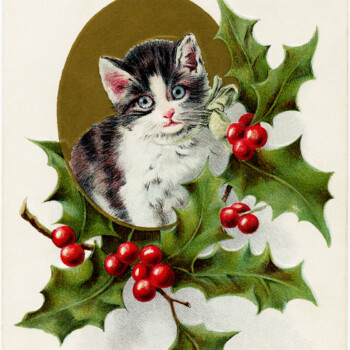 vintage Christmas postcard, vintage Christmas kitten, holly berries cat illustration, holiday pet graphic, old fashioned Christmas card