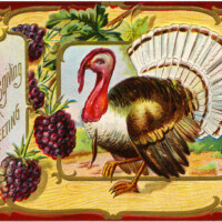 antique Thanksgiving postcard, turkey clip art, Victorian thanksgiving clipart, vintage turkey graphic, old fashioned thanksgiving card