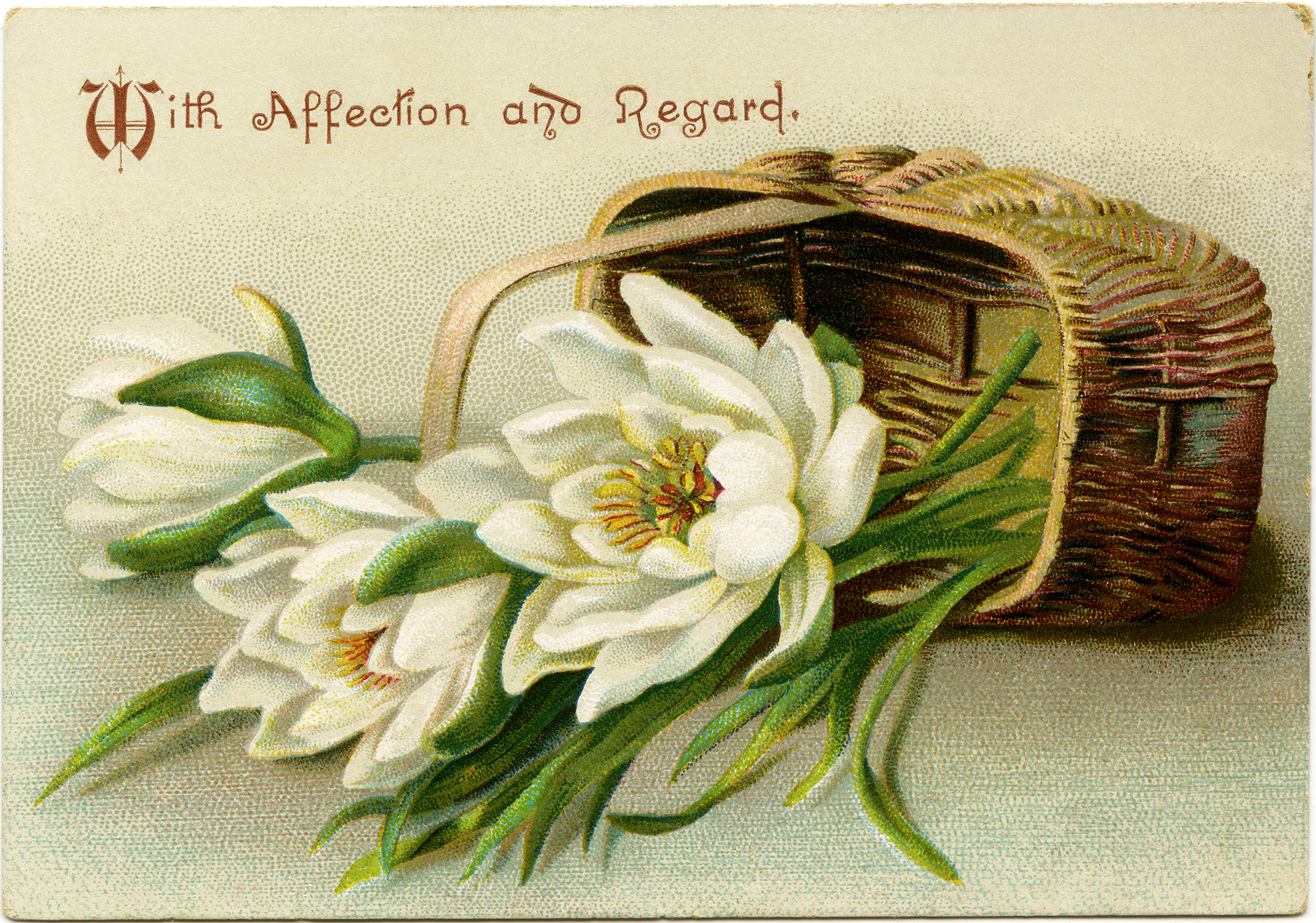 Victorian flower card, vintage flower clip art, white flowers in basket, antique floral illustration, old fashioned card