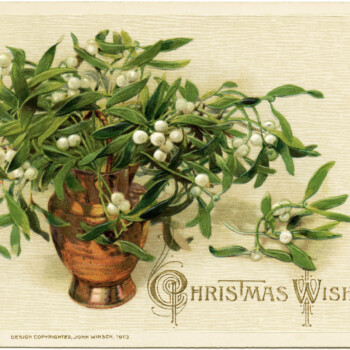 John Winsch, vintage Christmas postcard, mistletoe and berries clip art, Victorian Christmas card, antique Christmas illustration
