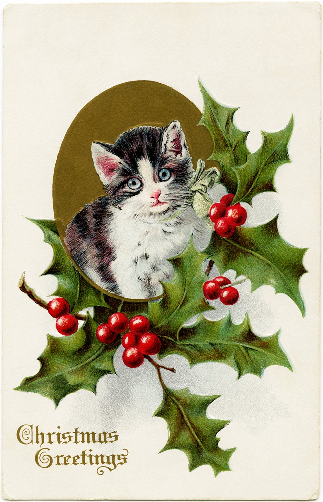 vintage Christmas postcard, vintage Christmas kitten, holly berries cat illustration, holiday pet graphic, old fashioned Christmas card